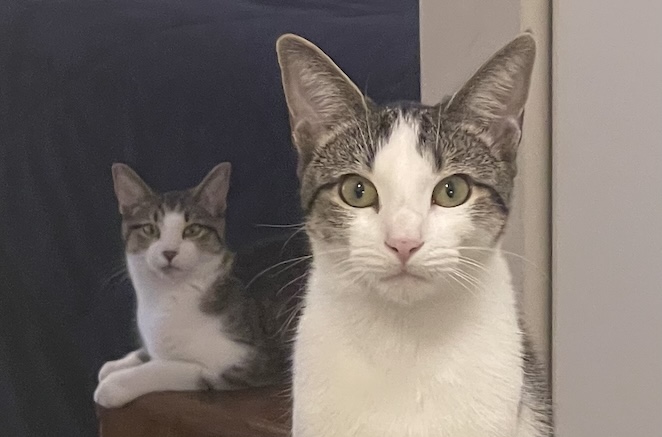 Bonnie and Clyde